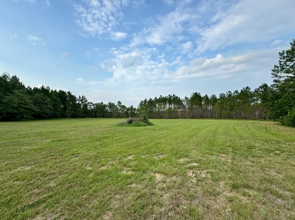 357 North Windsor Road Windsor, SC 29856 - Photo 18 of 20 a view of outdoor space with deck and yard