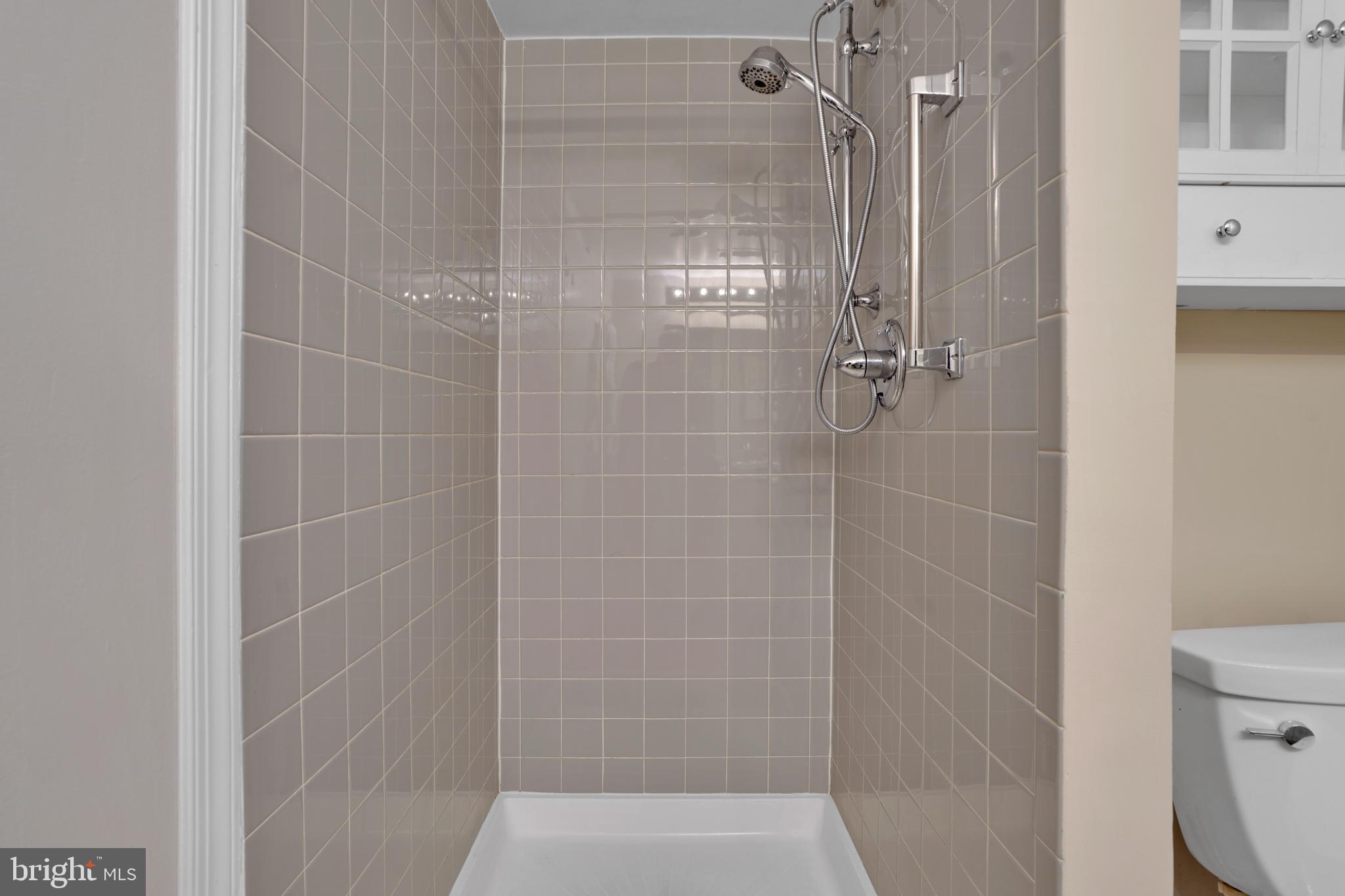 2100 Washington Avenue, Unit 2B Silver Spring, MD 20910 - Photo 29 of 34 a bathroom with a shower