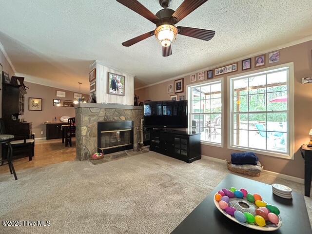 127 Rojay Lane Richlands, NC 28574 - Photo 44 of 100 IMG_8291