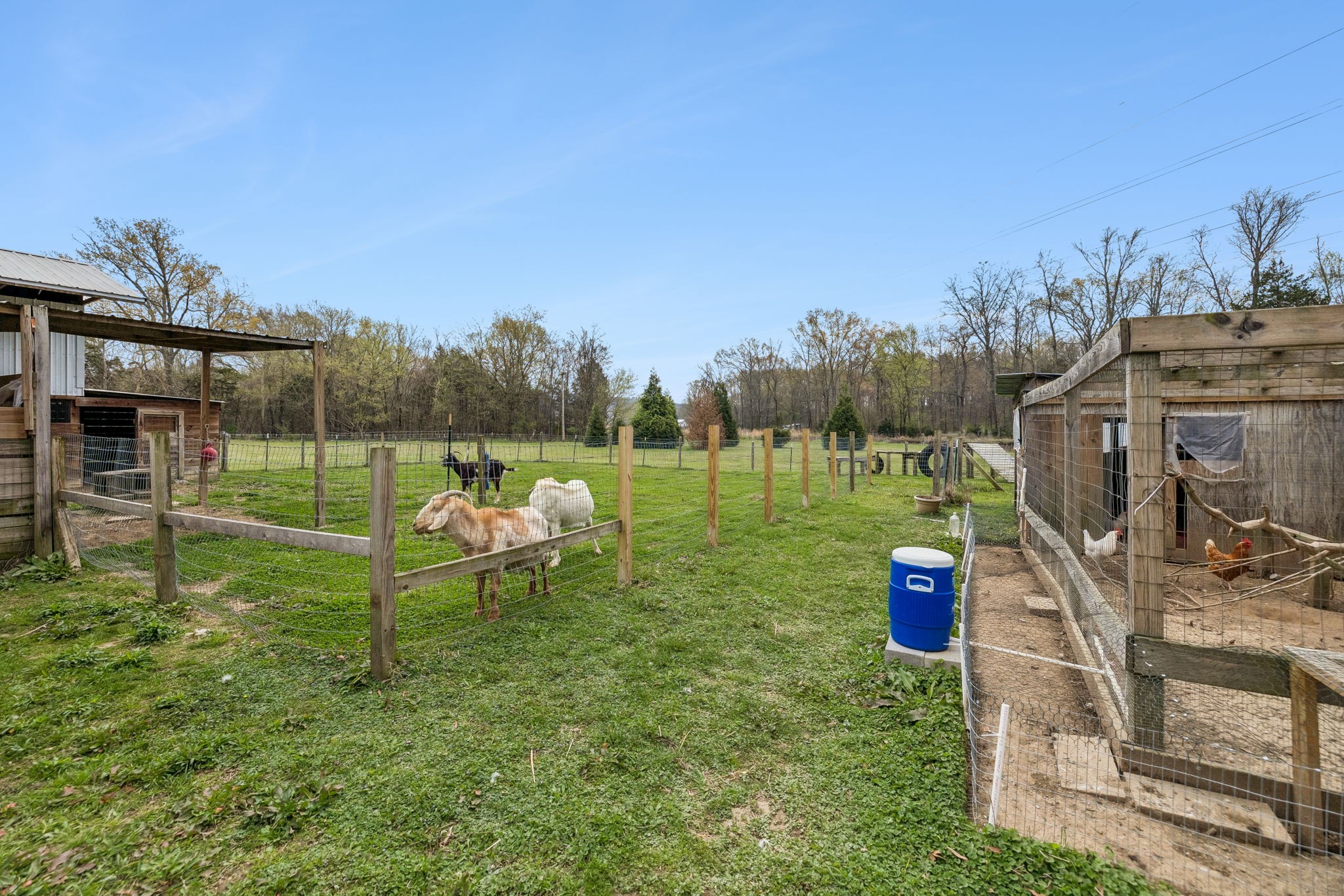 95 Floyd Lane Decherd, TN 37324 - Photo 43 of 65