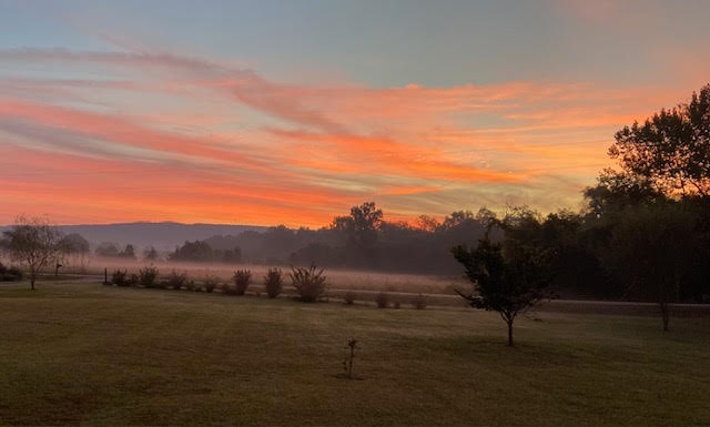 95 Floyd Lane Decherd, TN 37324 - Photo 63 of 65