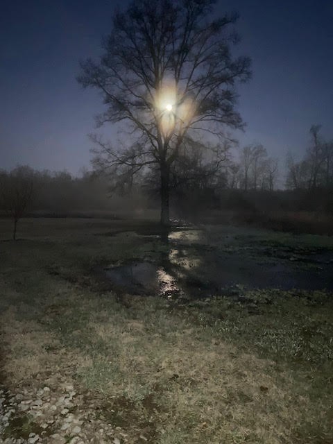 95 Floyd Lane Decherd, TN 37324 - Photo 64 of 65