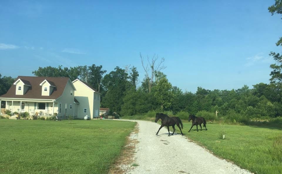 95 Floyd Lane Decherd, TN 37324 - Photo 65 of 65