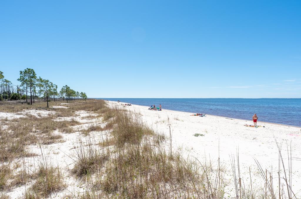 803 Backwater Road Port St. Joe, FL 32456 - Photo 30 of 59