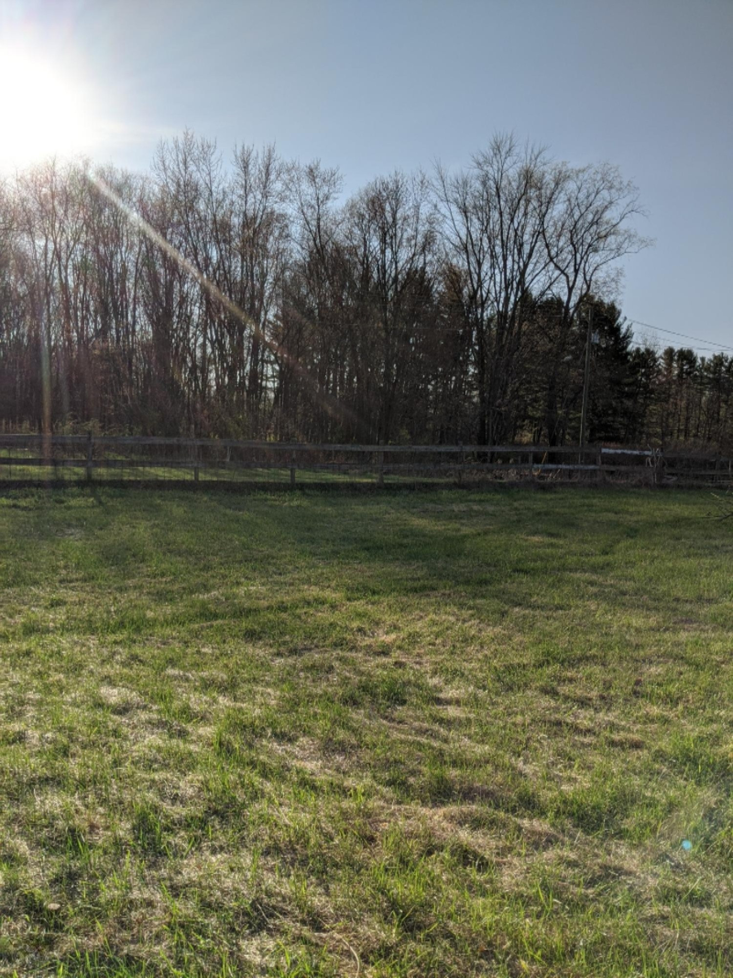 54870 Wilbur Road Three Rivers, MI 49093 - Photo 11 of 115 IMG_20200426_184421