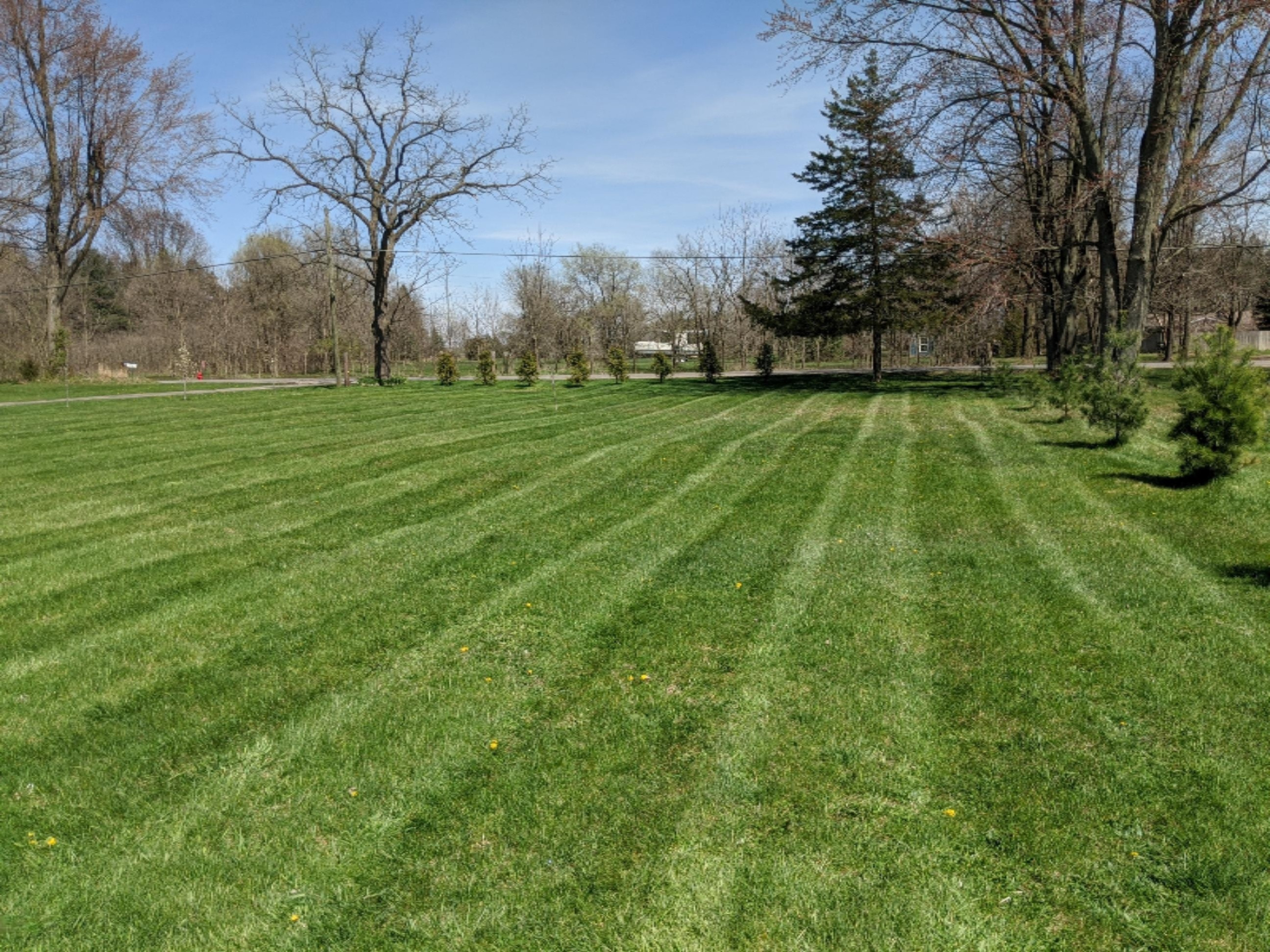 54870 Wilbur Road Three Rivers, MI 49093 - Photo 23 of 115 IMG_20200426_151019
