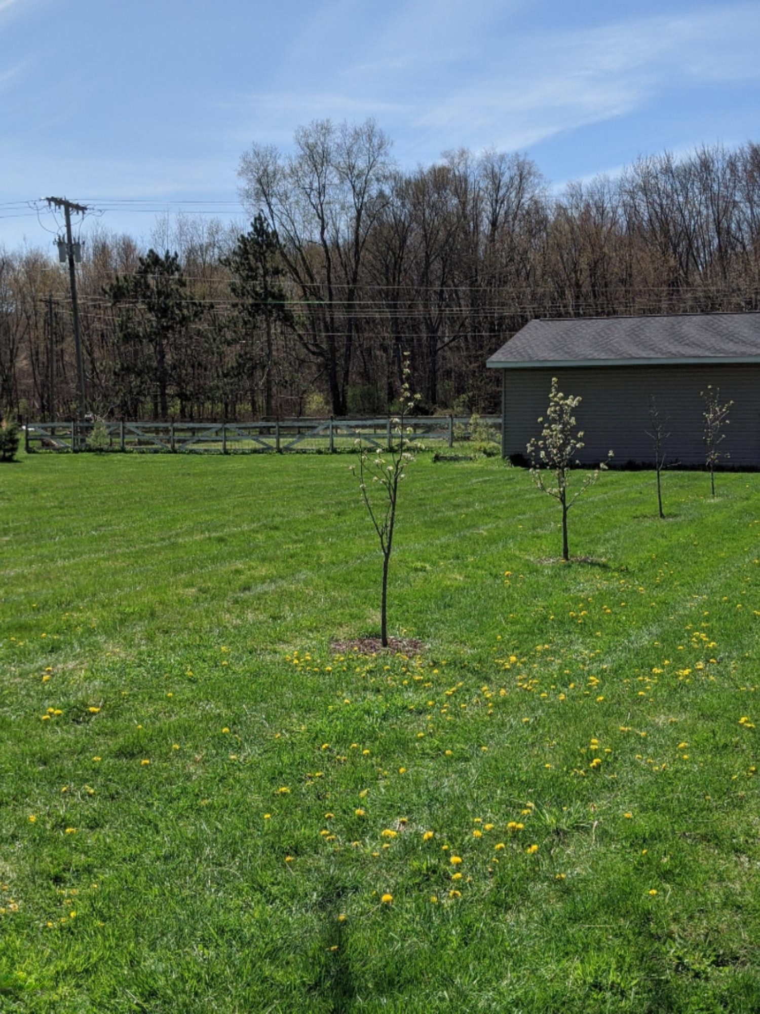54870 Wilbur Road Three Rivers, MI 49093 - Photo 26 of 115 IMG_20200426_151747