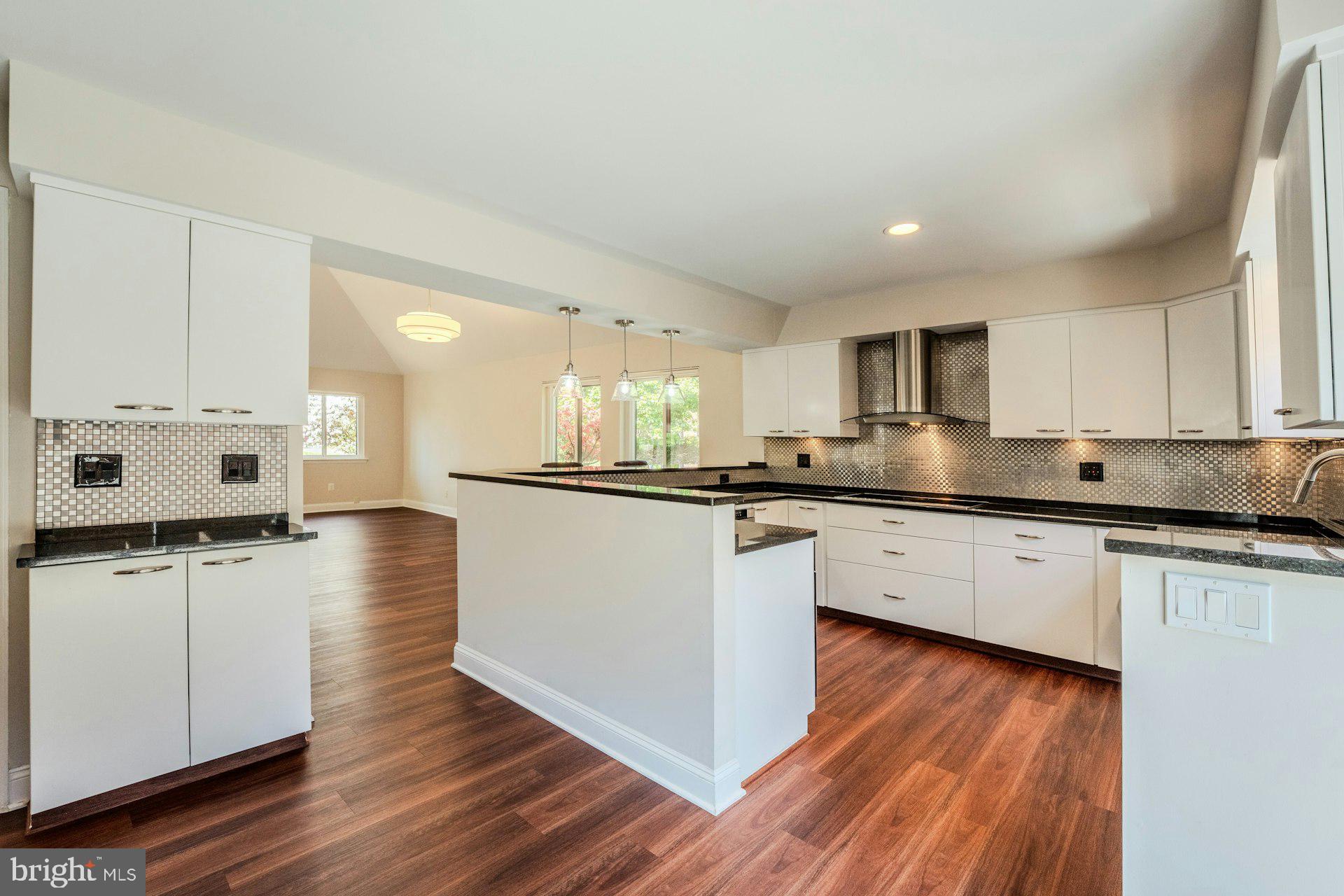 11310 Harborside Cluster Reston, VA 20191 - Photo 25 of 71 Newly renovated kitchen.