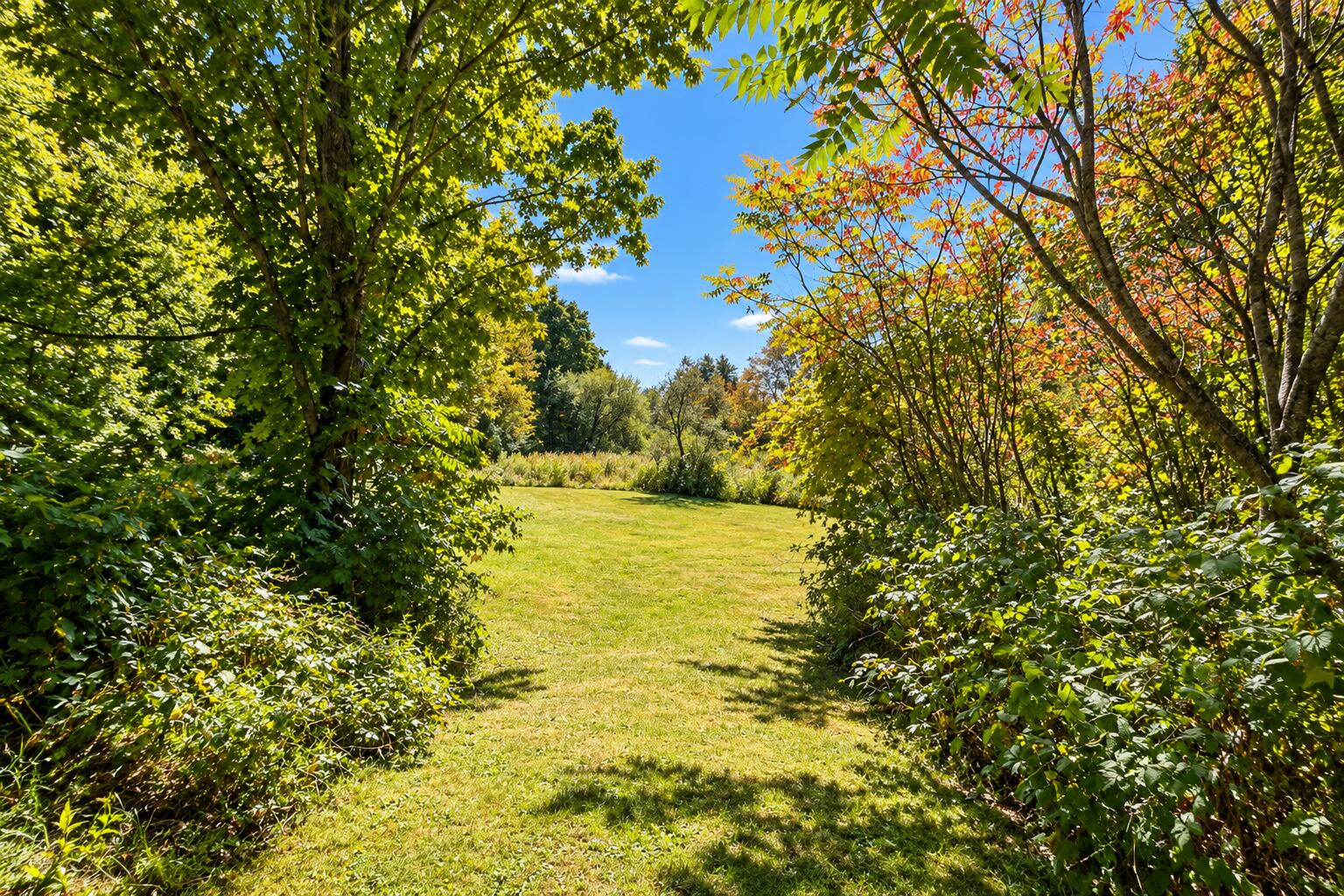 1170 Main Street Readfield, ME 04355 - Photo 31 of 33 1-back-path to field