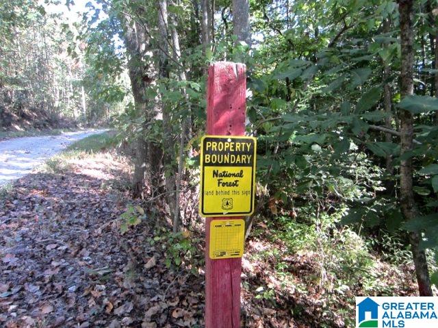 22-acres Clairmont Springs Road, Unit 22 ACRES Lineville, AL 36266 - Photo 14 of 16