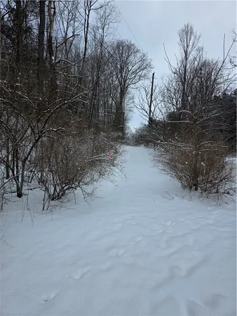 $17,900 | Mormon Hollow Road, Corning, NY 14830