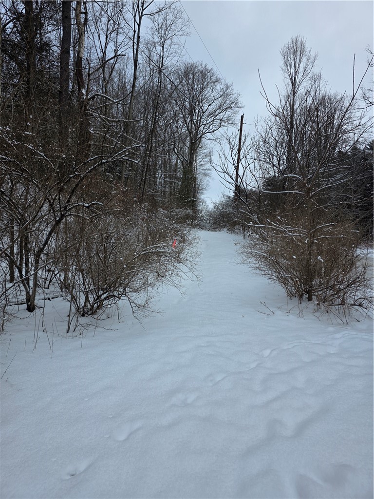 Mormon Hollow Road Corning, NY 14830 - Photo 1 of 7