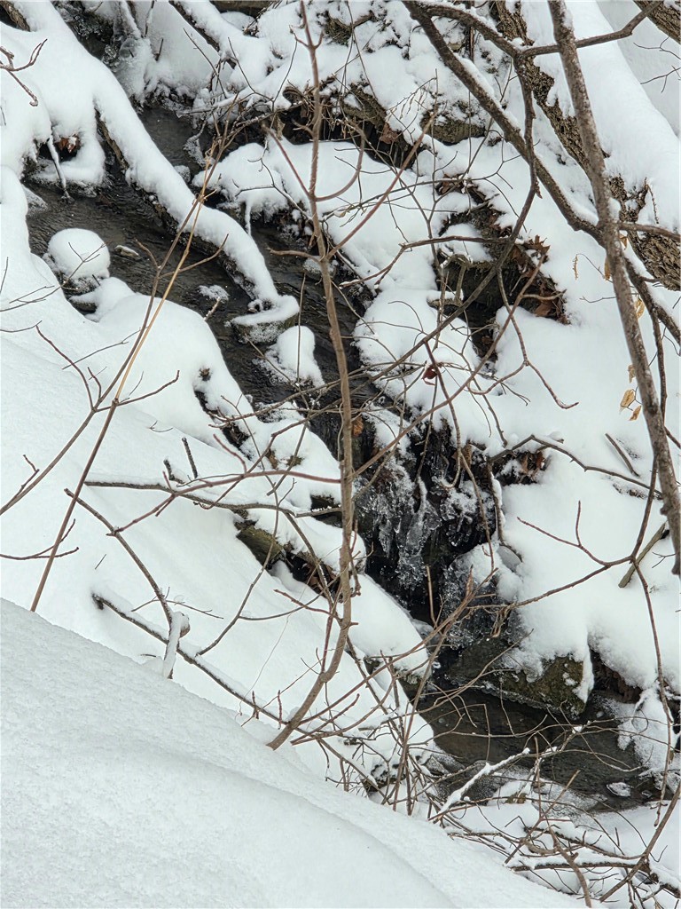 Mormon Hollow Road Corning, NY 14830 - Photo 2 of 7