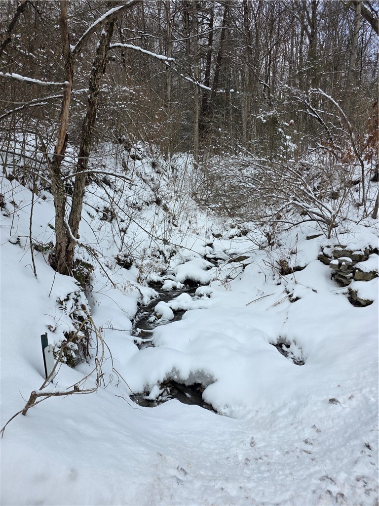 Mormon Hollow Road Corning, NY 14830 - Photo 3 of 7