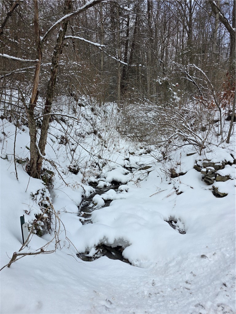 Mormon Hollow Road Corning, NY 14830 - Photo 4 of 7