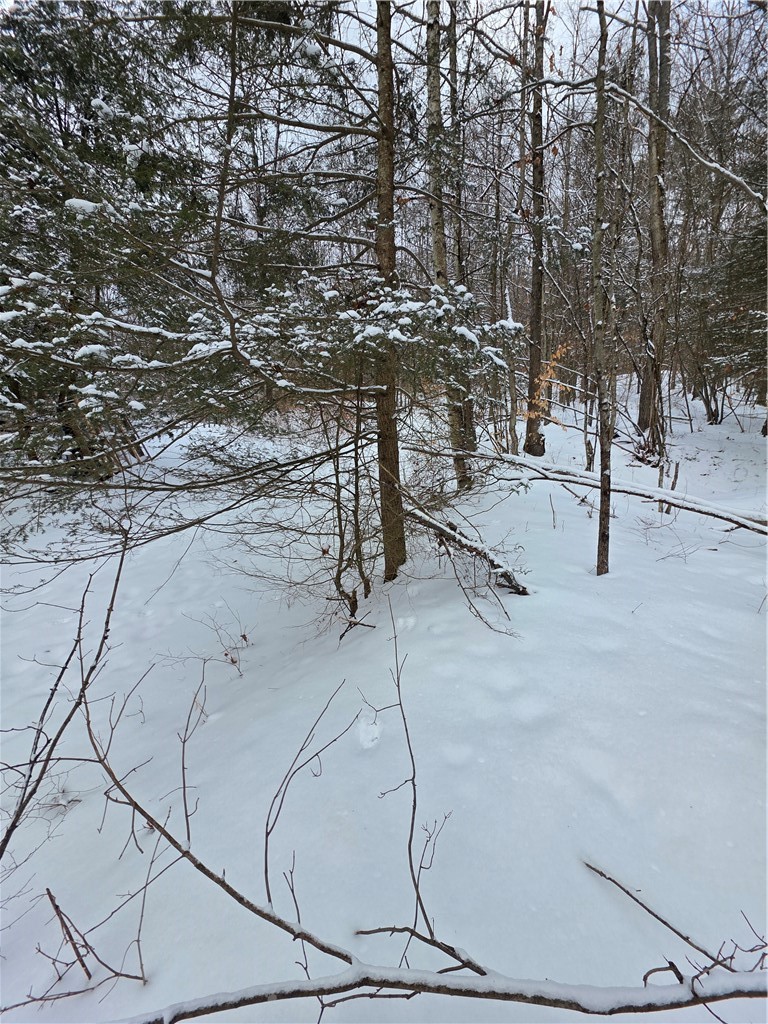 Mormon Hollow Road Corning, NY 14830 - Photo 5 of 7