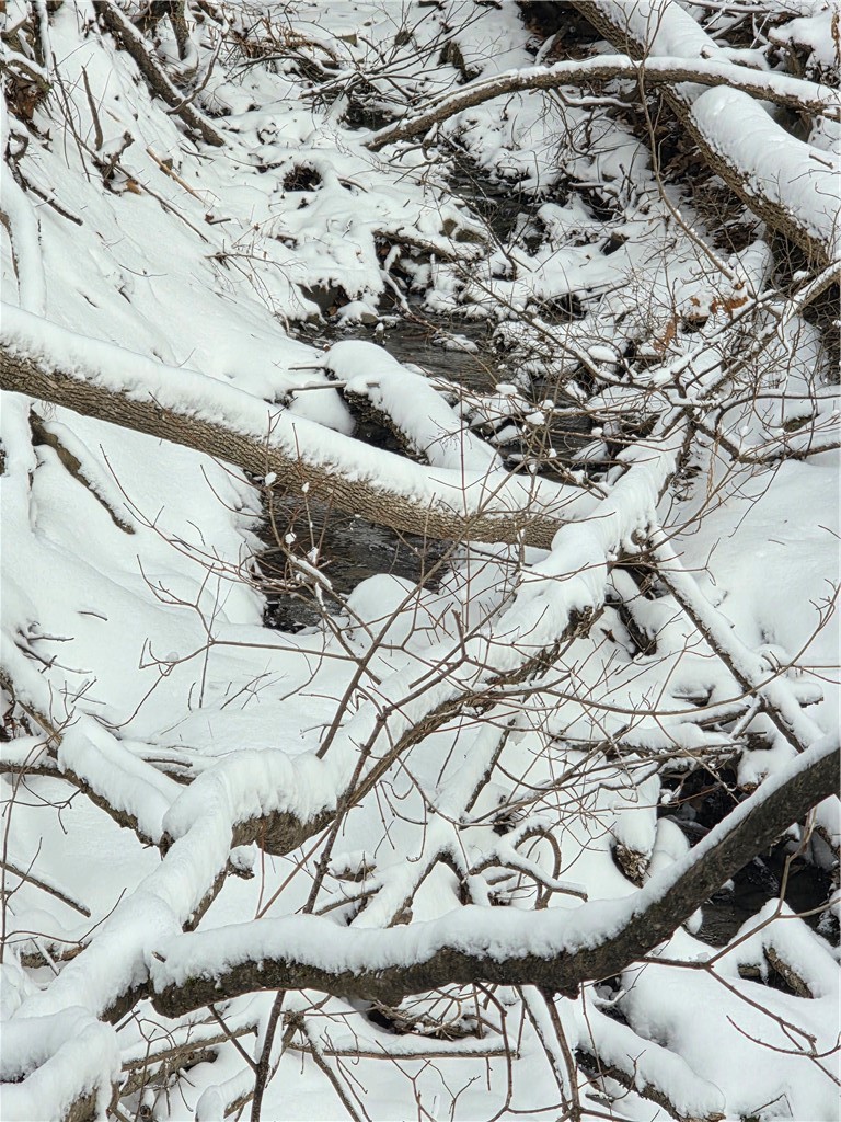 Mormon Hollow Road Corning, NY 14830 - Photo 6 of 7