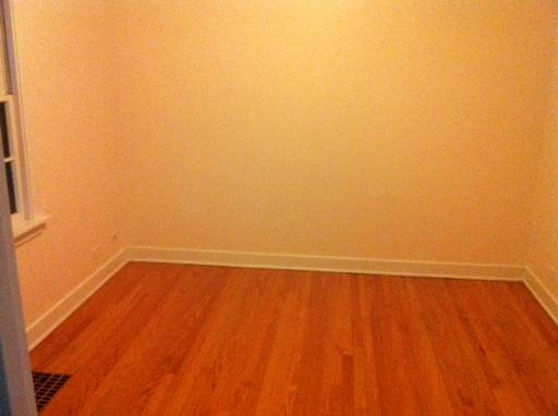 1339 183rd Street Homewood, IL 60430 - Photo 11 of 16 a view of an empty room