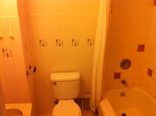1339 183rd Street Homewood, IL 60430 - Photo 9 of 16 a bathroom with a toilet and a shower