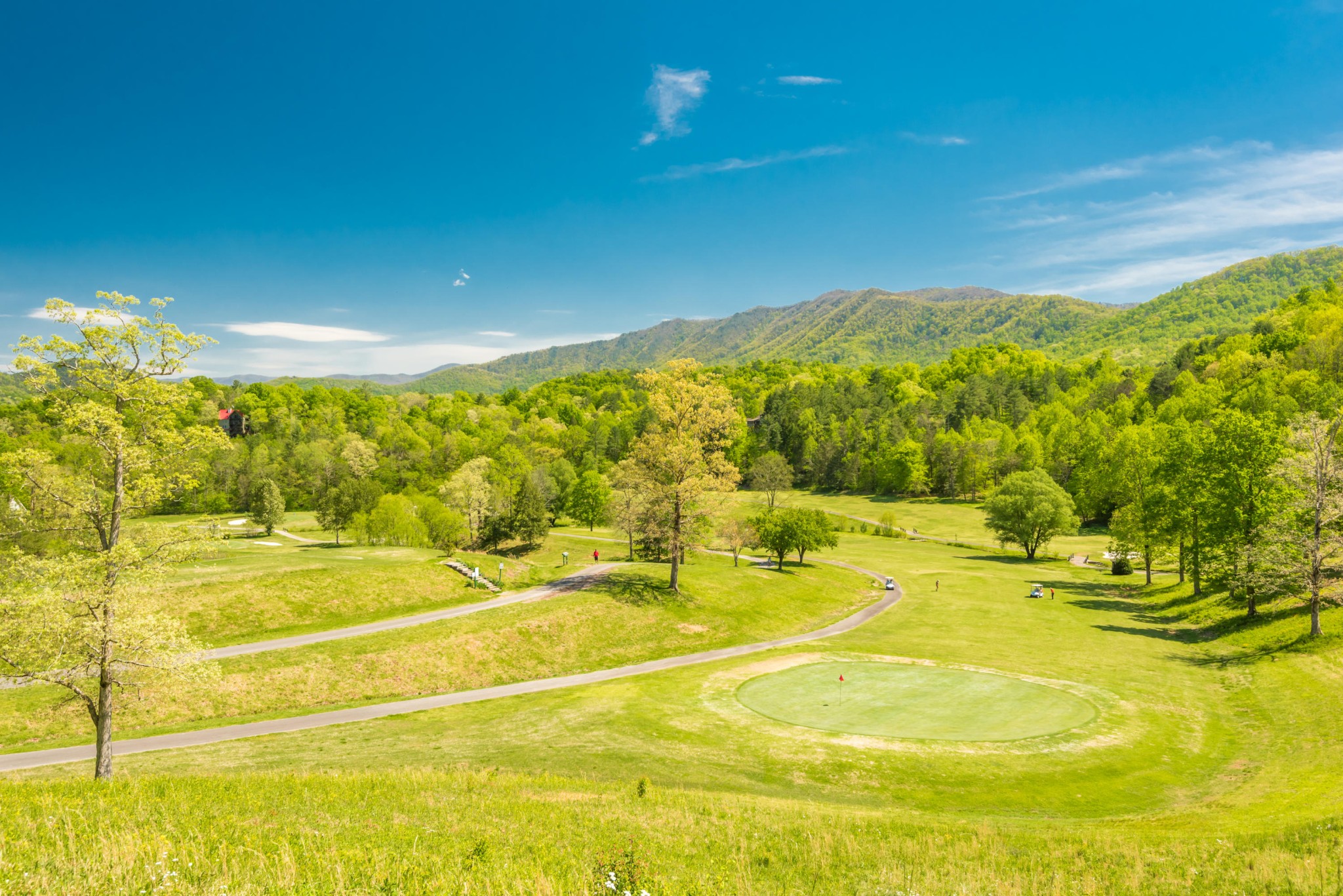 309 Slate Quarry Point Road Townsend, TN 37882 - Photo 38 of 39 Gallery Image 38