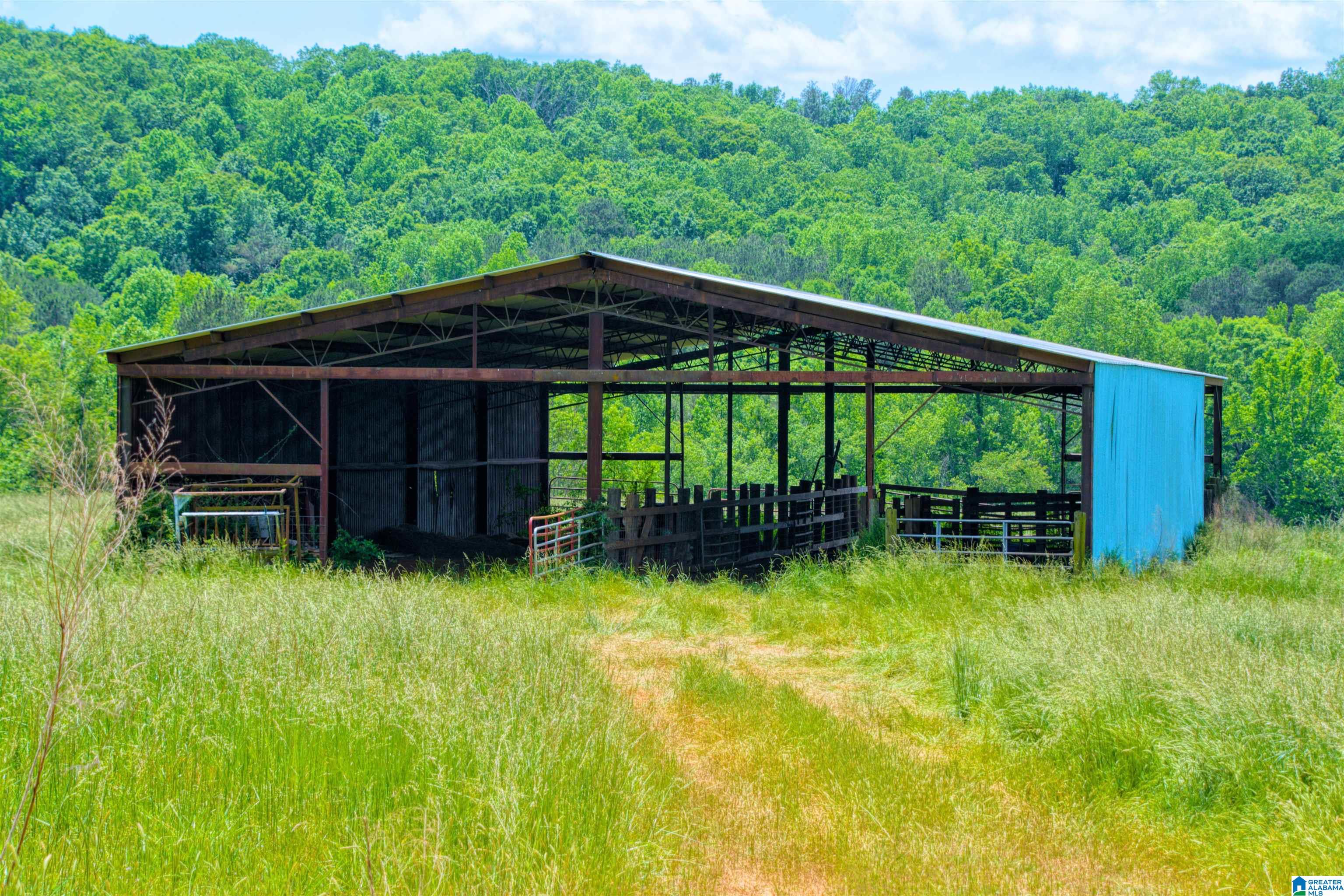 280 County Road 63 Ranburne, AL 36273 - Photo 38 of 43