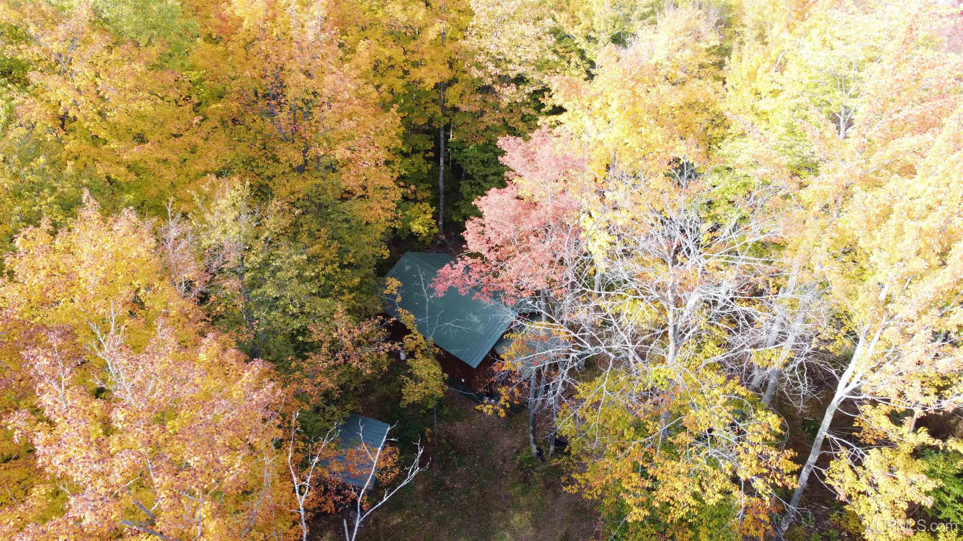 Tbd South Tbd S Sundell Road Chatham, MI 49816 - Photo 6 of 24