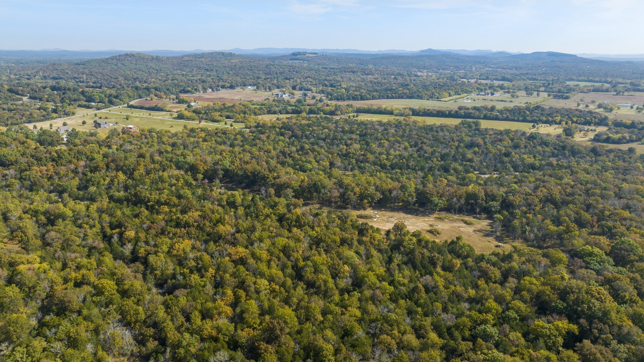 1930 Holly Grv Loop Lascassas, TN 37085 - Photo 5 of 5