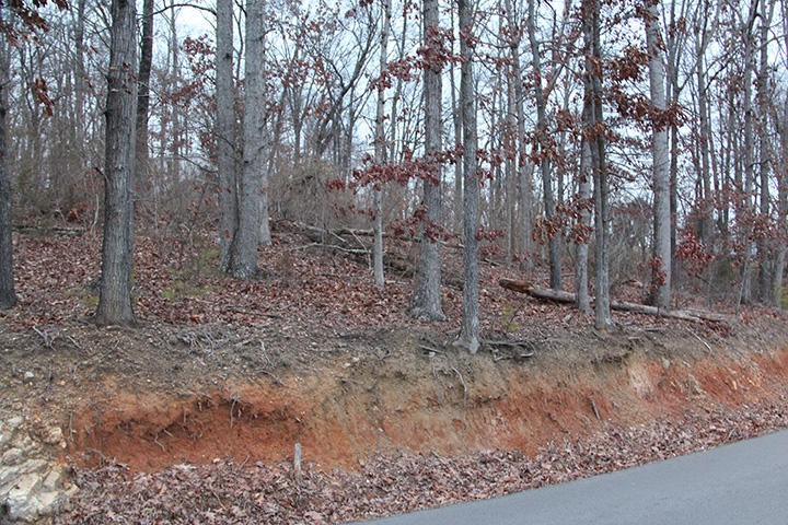 0 Lot 10 Roberts Road Kodak, TN 37764 - Photo 4 of 6 Gallery Image 4