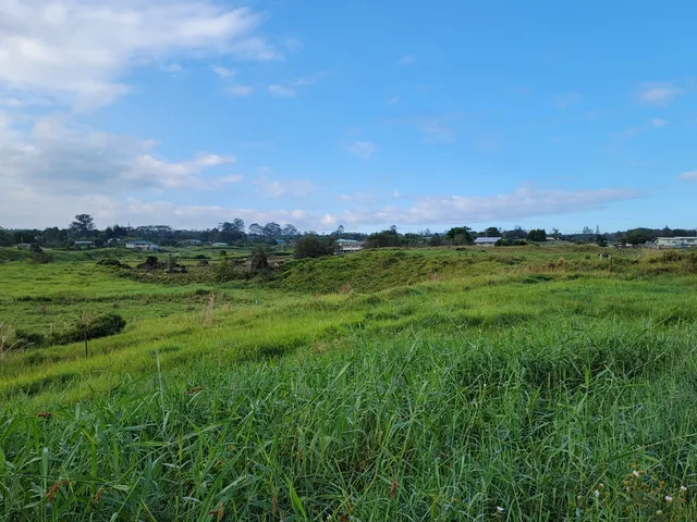 $300,000 | 4051 Lot 1 Ahuanani Place, Hilo, HI 96720