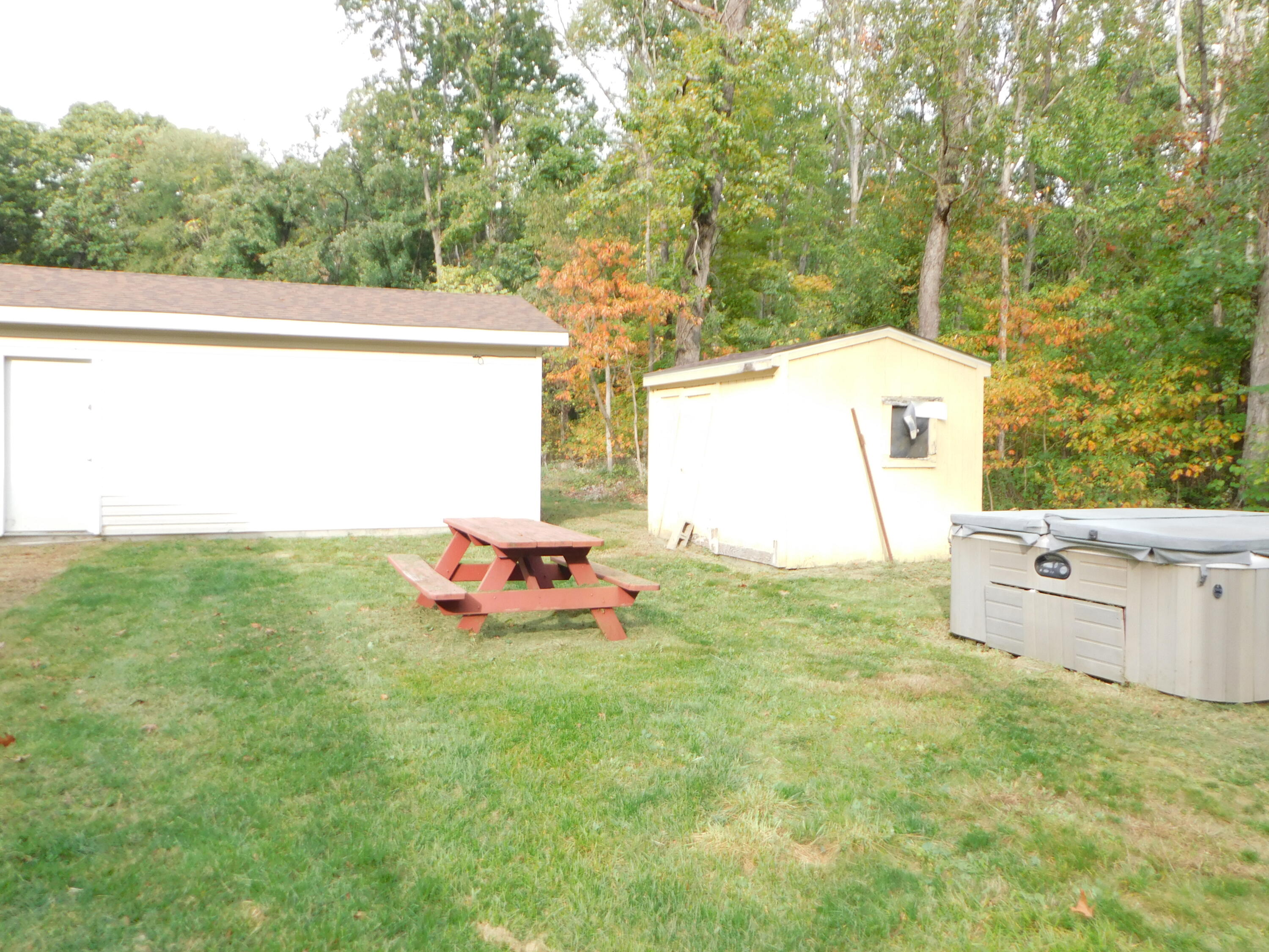 41004 80th Avenue Decatur, MI 49045 - Photo 12 of 17 sideyard