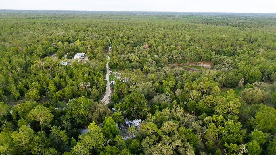 121 Susan Road Hawthorne, FL 32640 - Photo 7 of 20 7