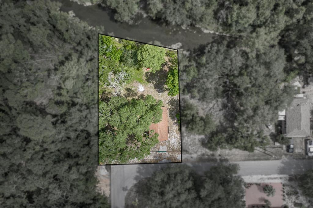 33065 Cedonia Road Dade City, FL 33523 - Photo 4 of 41