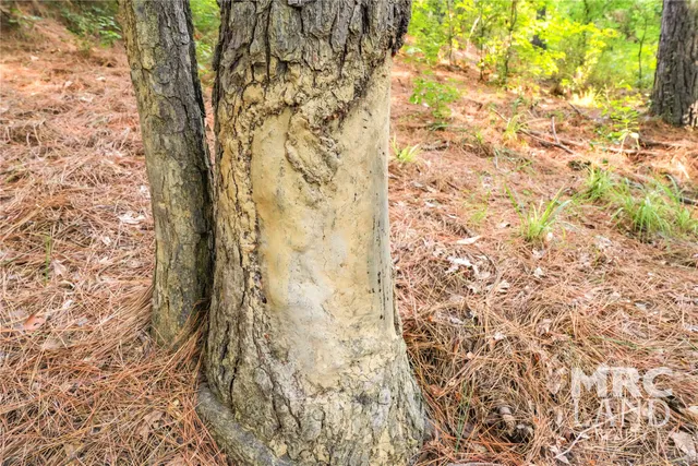 an aerial view of residential houses with outdoor space and trees