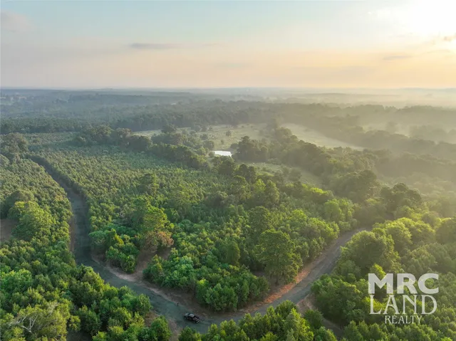 an aerial view of houses covered in trees