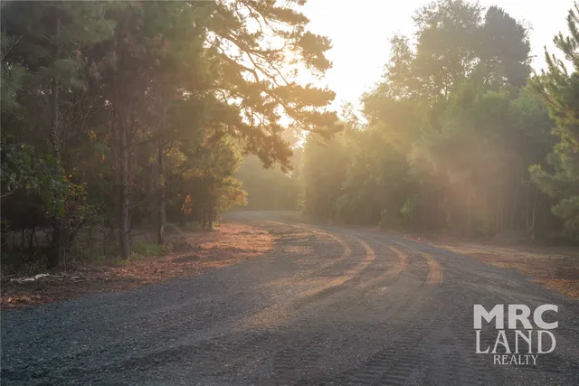 a view of a field with an ocean