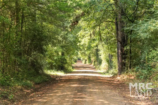 a view of a city with lush green forest