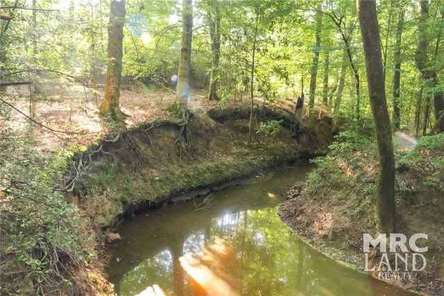 $148,100 | 0 County Road 3173, Joaquin, TX 75954