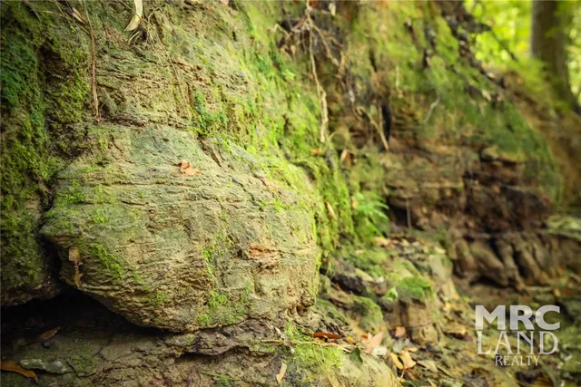 $148,100 | 0 County Road 3173, Joaquin, TX 75954