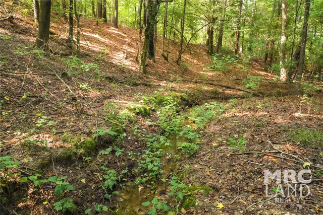 $148,100 | 0 County Road 3173, Joaquin, TX 75954