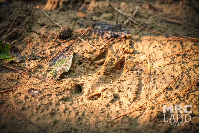a view of an outdoor space and a yard