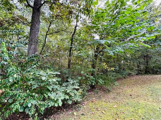 6082 O'Keefe Ridge Road Williamsburg, MO 63388 - Photo 18 of 30 Gallery Image 18