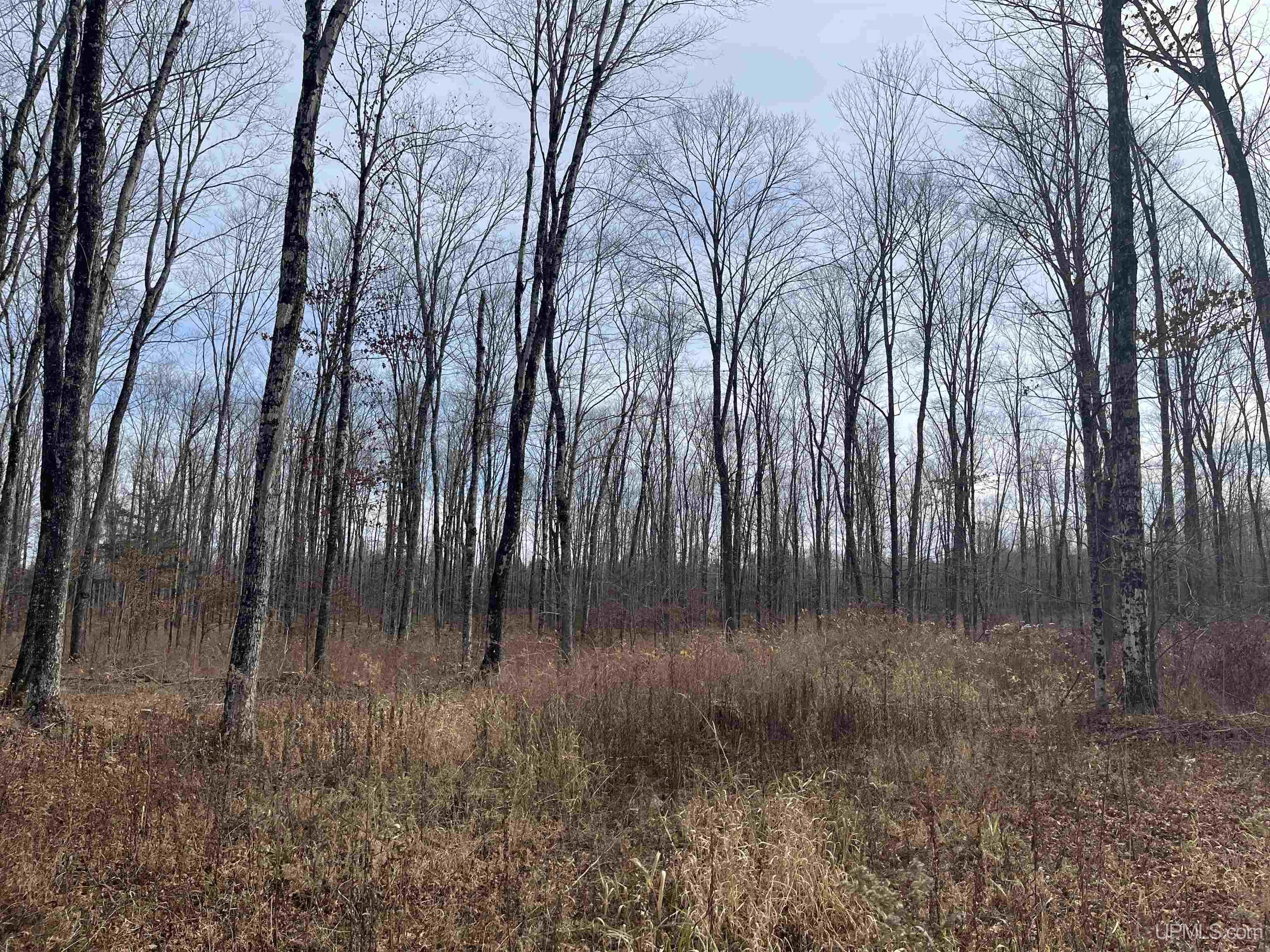 120-acres Off County Sk Road Cornell, MI 49818 - Photo 32 of 40