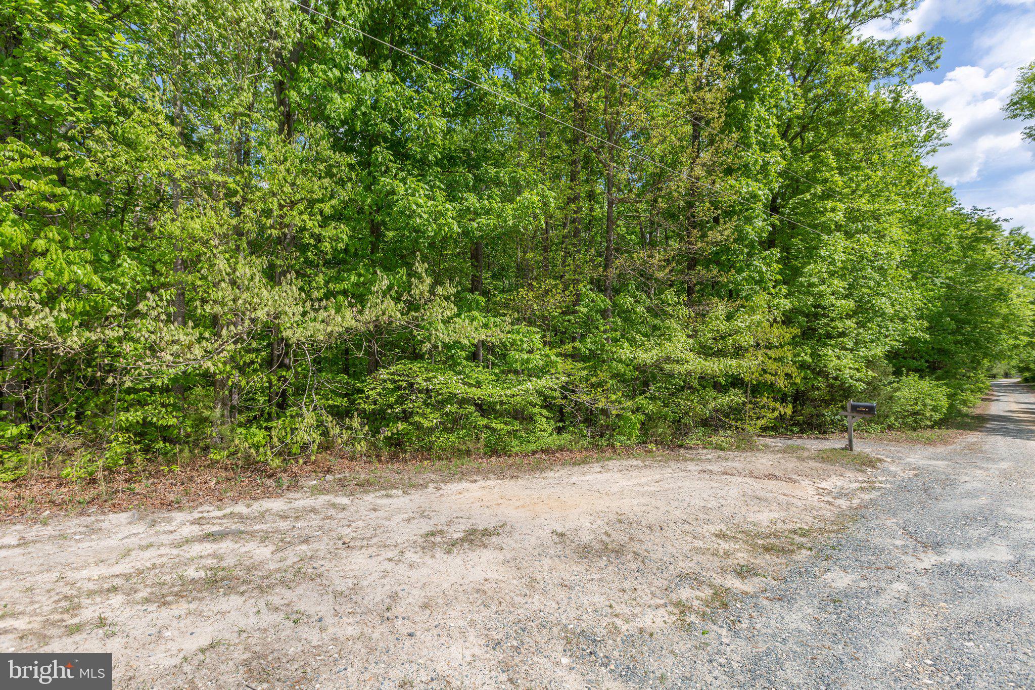 10240 Edenton Road Partlow, VA 22534 - Photo 47 of 67