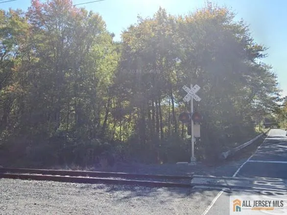 a picture of city from a tree