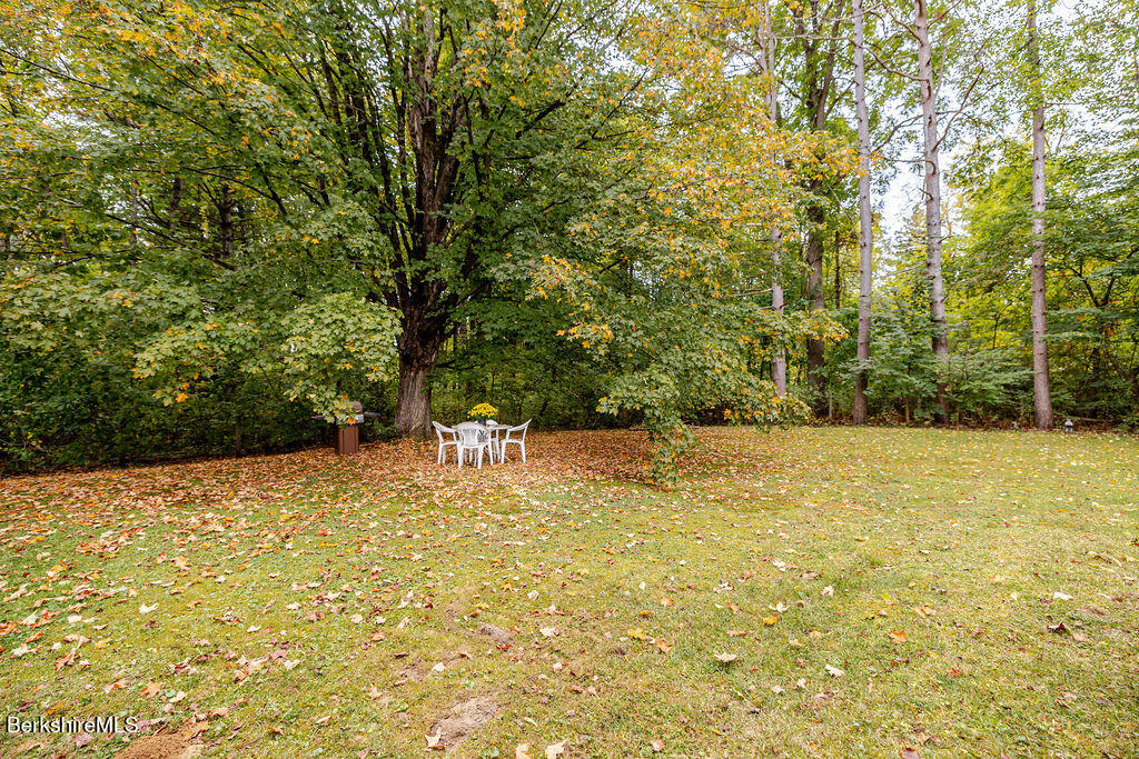 6 Blue Hill Road Great Barrington, MA 01230 - Photo 43 of 43 Fenced Backyard