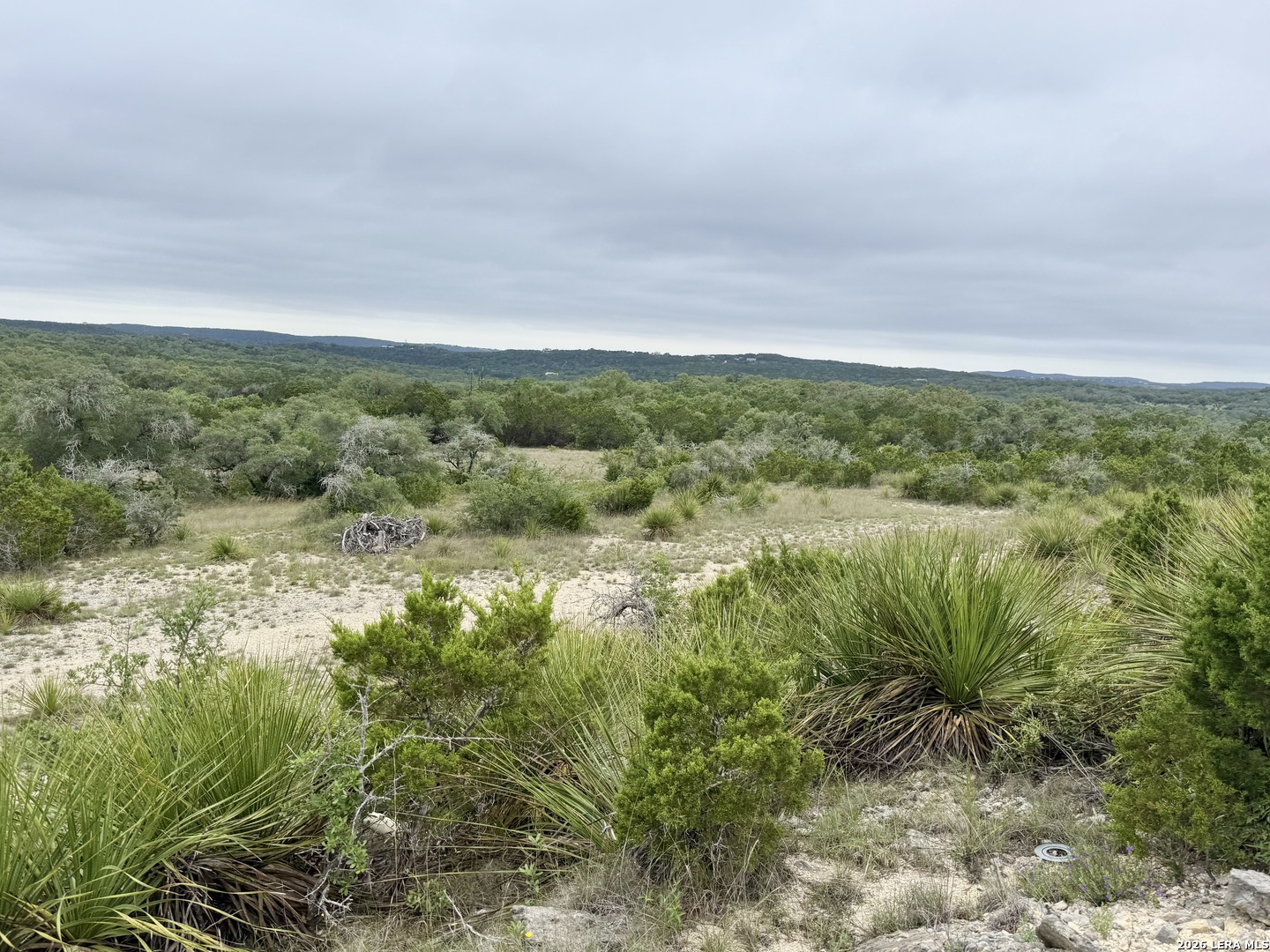 22073 Scenic Loop Road Helotes, TX 78023 - Photo 20 of 27 a view of a field with a tree