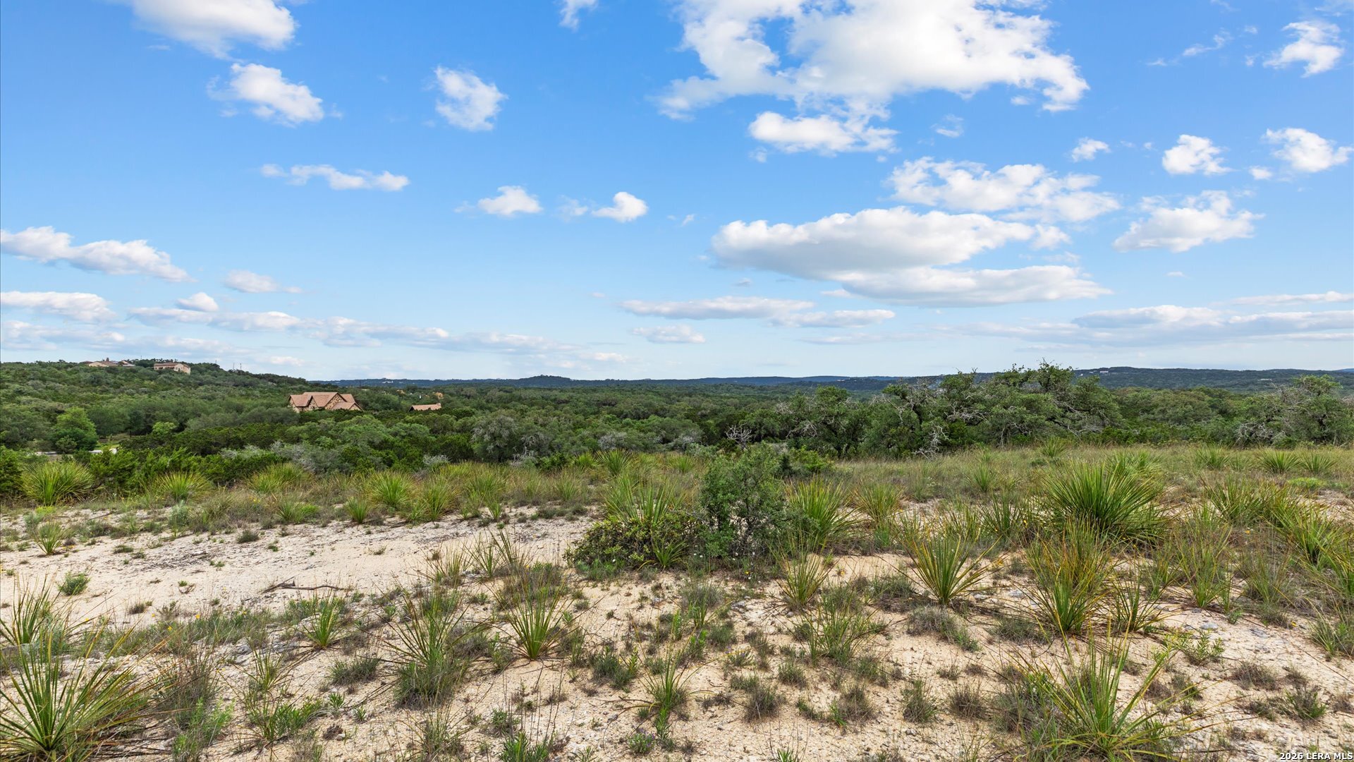 22073 Scenic Loop Road Helotes, TX 78023 - Photo 2 of 27 a view of a bunch of trees in a field