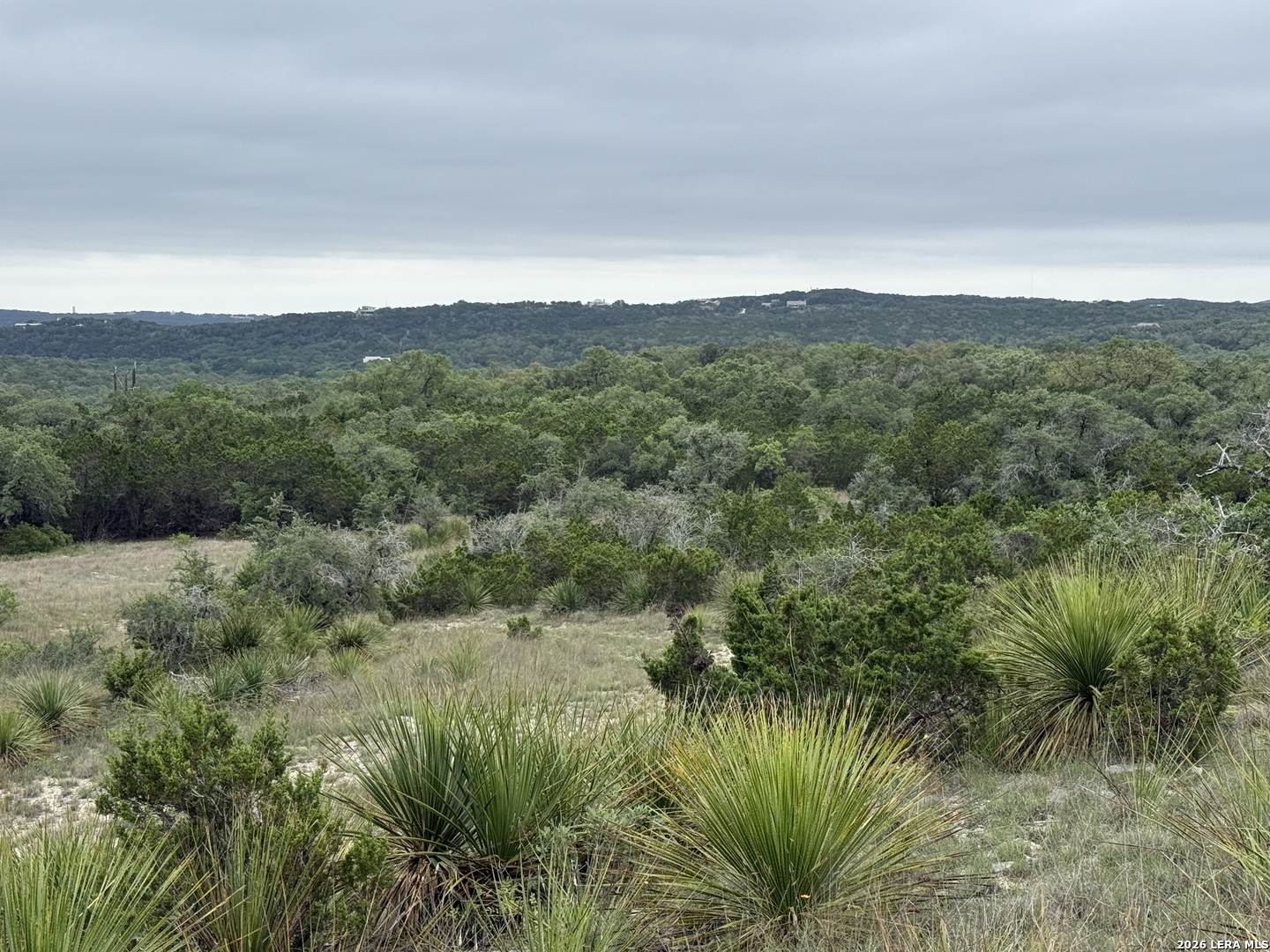 22073 Scenic Loop Road Helotes, TX 78023 - Photo 22 of 27 a view of a lush green outdoor space with a lake view