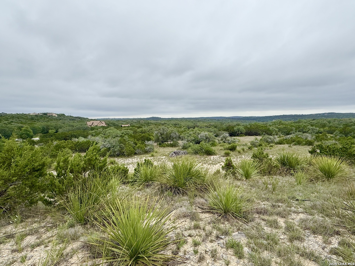 22073 Scenic Loop Road Helotes, TX 78023 - Photo 8 of 27 a view of a big yard with plants and large trees