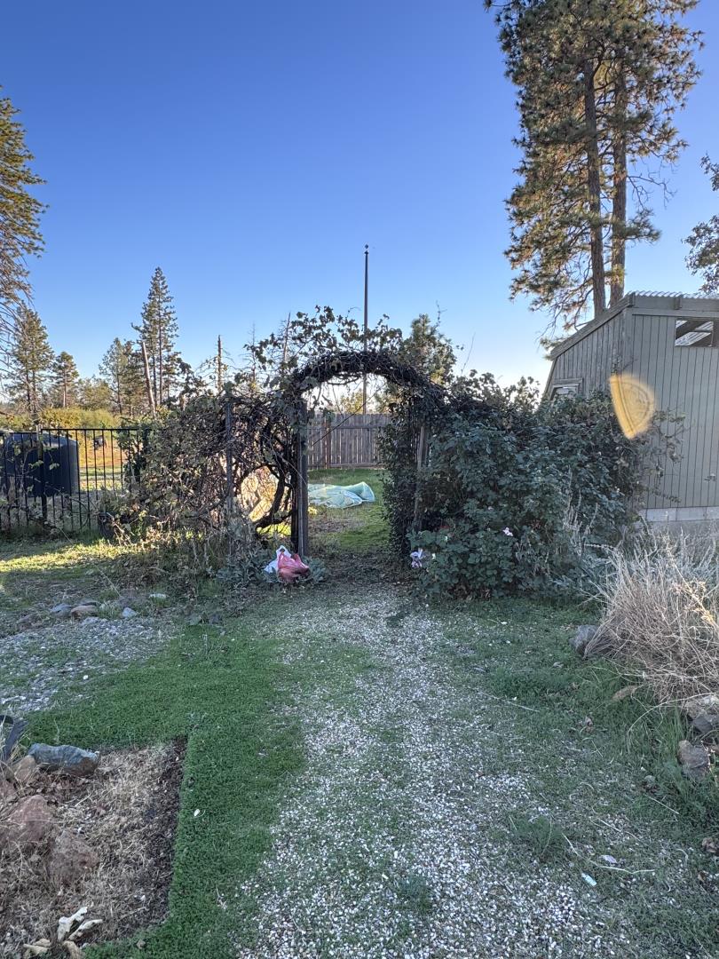 12168 Granite Ridge Road Oroville, CA 95965 - Photo 16 of 34 a backyard of a house with lots of green space